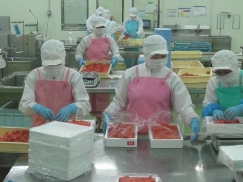 郑州裕鼎达 专业出国劳务与本地服务并行的可靠选择