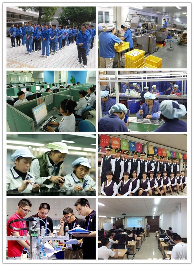 蓝桥国际 专业劳务服务的先锋者